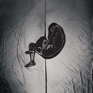 台州注塑厂家用小鲤营销导航
