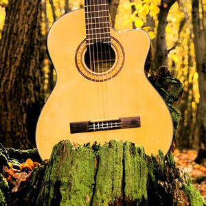 台州注塑厂家用小鲤营销导航
