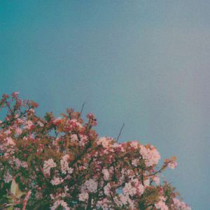 台州注塑厂家用小鲤营销导航
